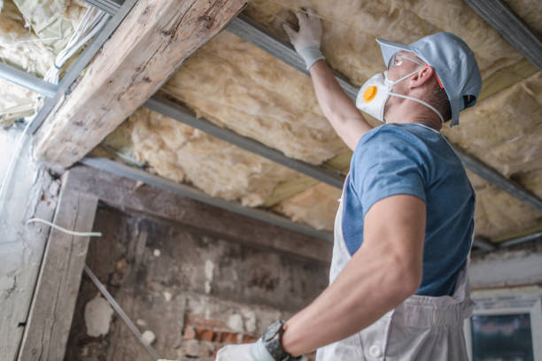 Best Insulation Installation Services in Loughman, FL