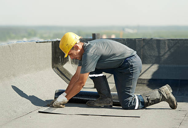 Best Specialty Insulation in Loughman, FL