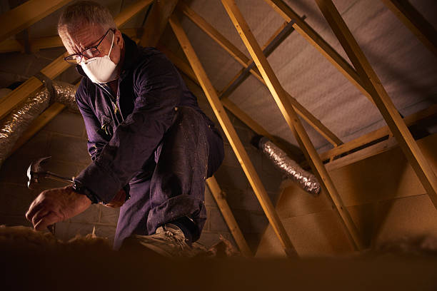 Best Commercial Insulation in Loughman, FL